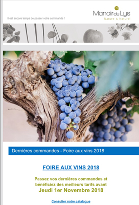 Newsletter de l'Hôtel-Restaurant Manoir du Lys